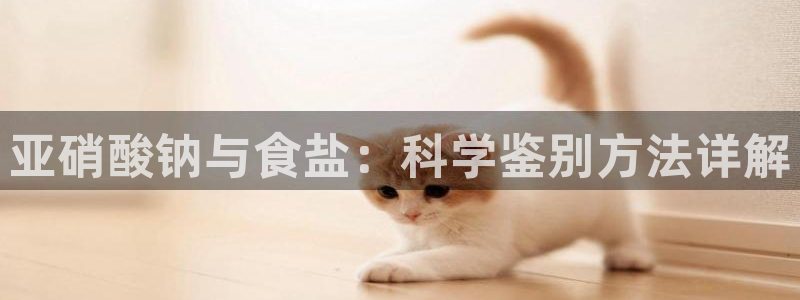 威九国际78免下载