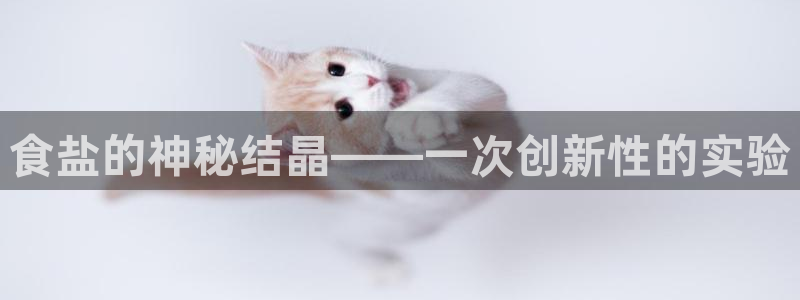 威九国际ppt官网