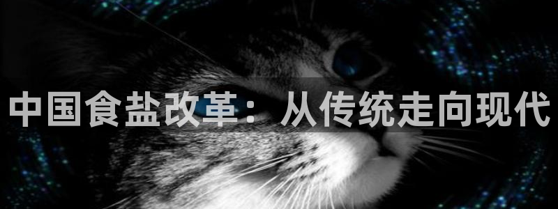 66m威九国际精选：中国食盐改革：从传统走向现代