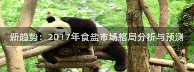 威九国际网站入口官网首页下载