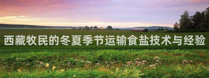 威九国际app无法登陆怎么回事