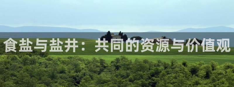威九国际人民网招聘