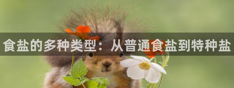 威九国际软件公司简介