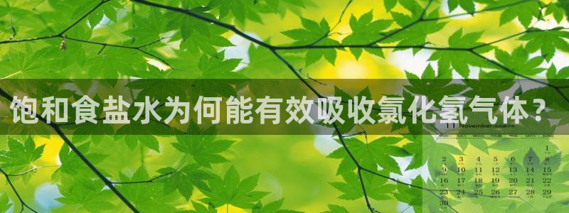 威九国际官方入口官网