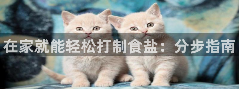 威九国际APP客服