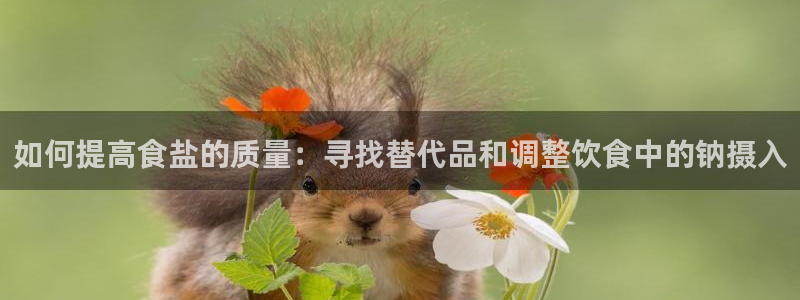 威九国际的金融服务怎么样