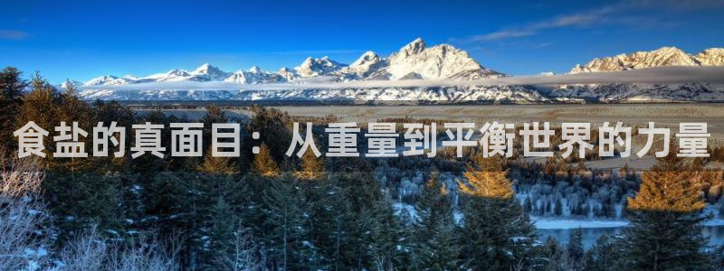 威九国际游戏网站