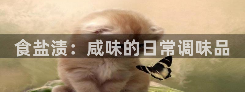 威九国际理论片最经典十首歌曲