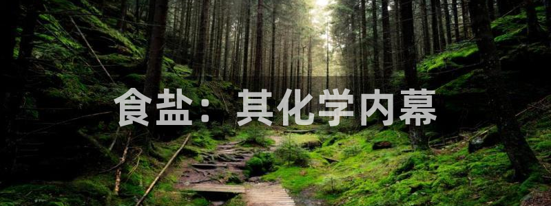 威九国际网站客服电话多少号码