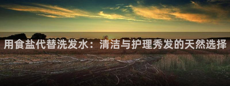 威九国际官网登录入口网址