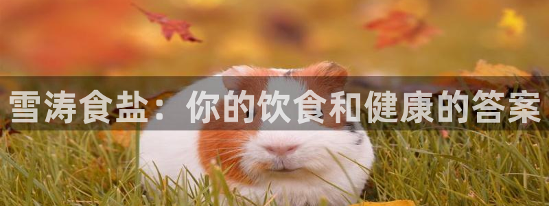 威九国际特殊奖励我的奖励竟然是嫂子