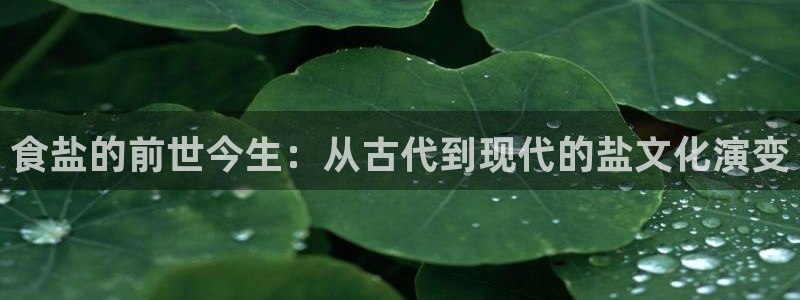 威九国际网站入口官网免费下载