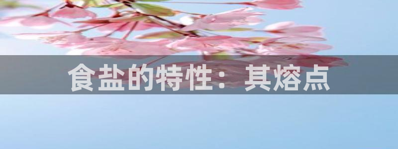 威九国际78mb游戏