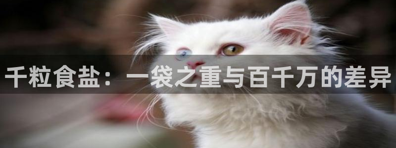 威九国际网站进入产品中心