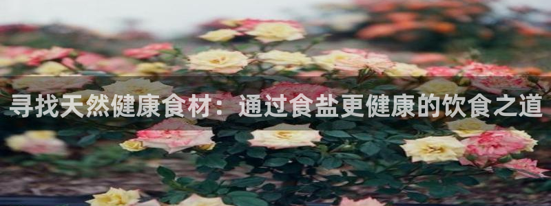 保定威九网络科技有限公司