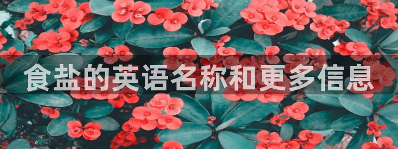 威九国际网站为什么不禁止